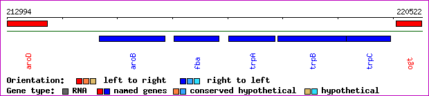 gene map