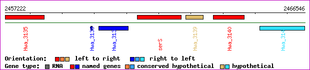 gene map
