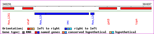gene map