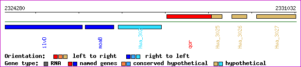 gene map