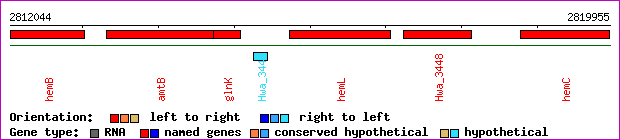 gene map