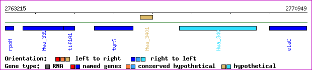 gene map