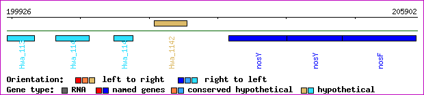gene map