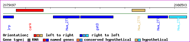 gene map