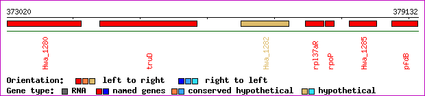 gene map