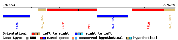 gene map