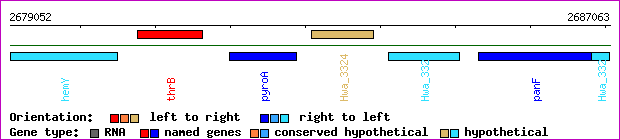 gene map