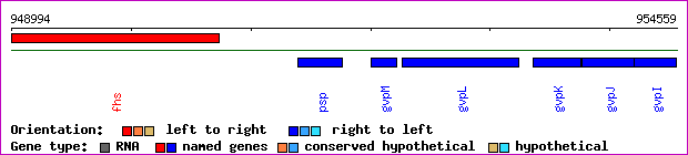 gene map