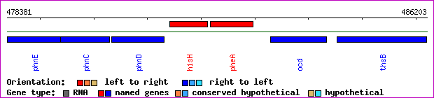 gene map