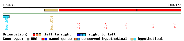 gene map