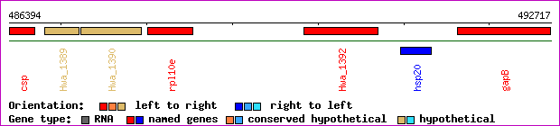 gene map