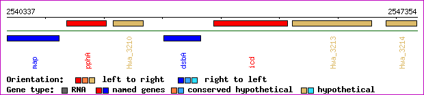 gene map