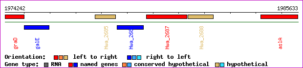 gene map