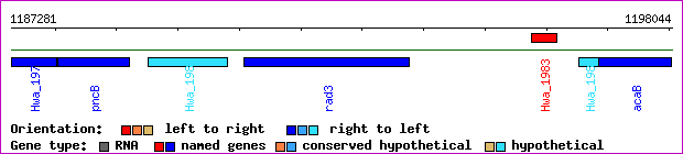 gene map