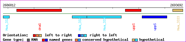 gene map
