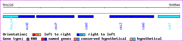 gene map