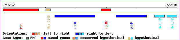 gene map