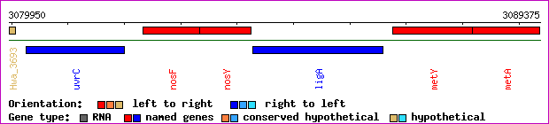 gene map
