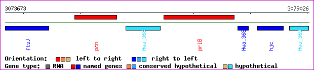 gene map