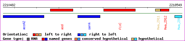 gene map