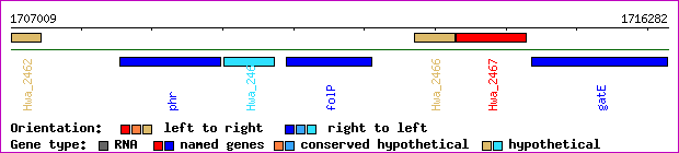 gene map