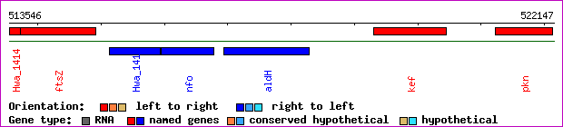 gene map