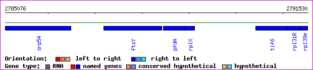 gene map