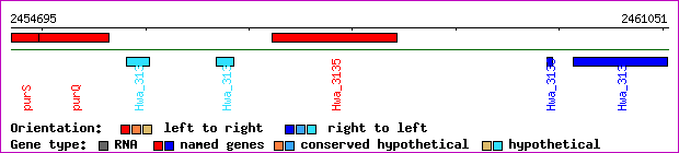 gene map