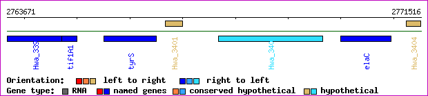 gene map