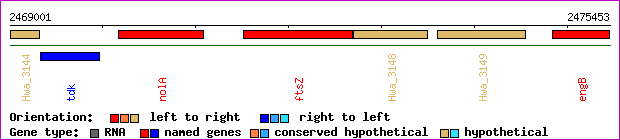 gene map