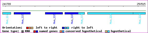 gene map