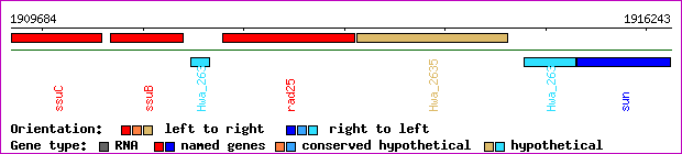 gene map