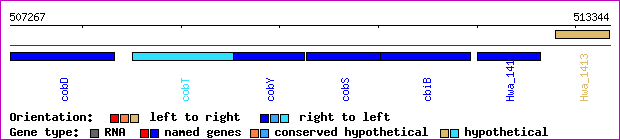 gene map