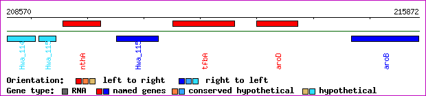 gene map