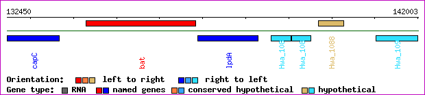 gene map