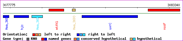 gene map