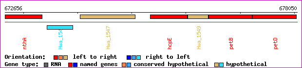 gene map