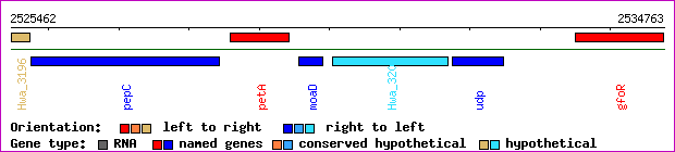 gene map