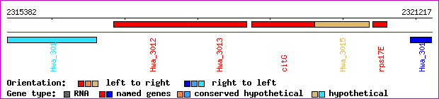 gene map