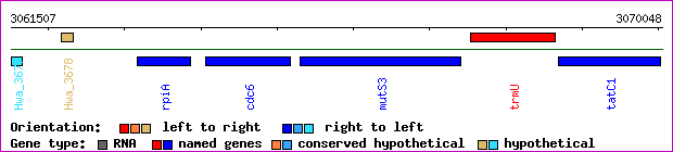 gene map
