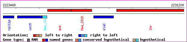 gene map