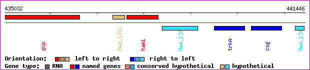 gene map