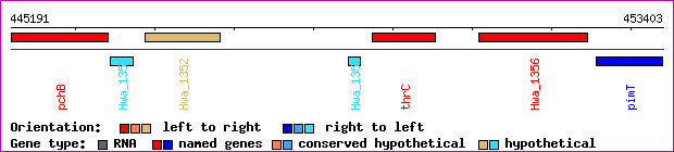 gene map