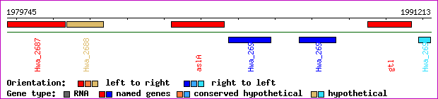 gene map