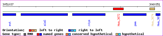gene map
