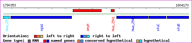 gene map
