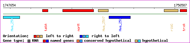 gene map