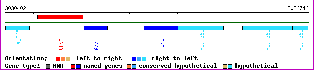 gene map