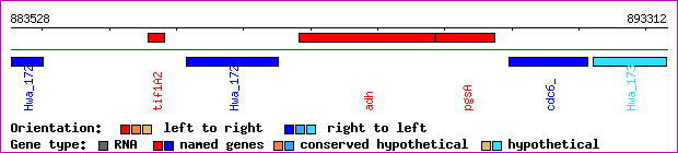 gene map