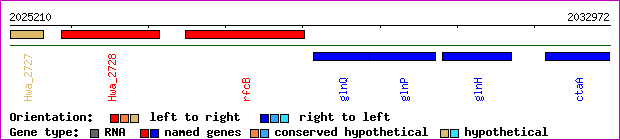 gene map